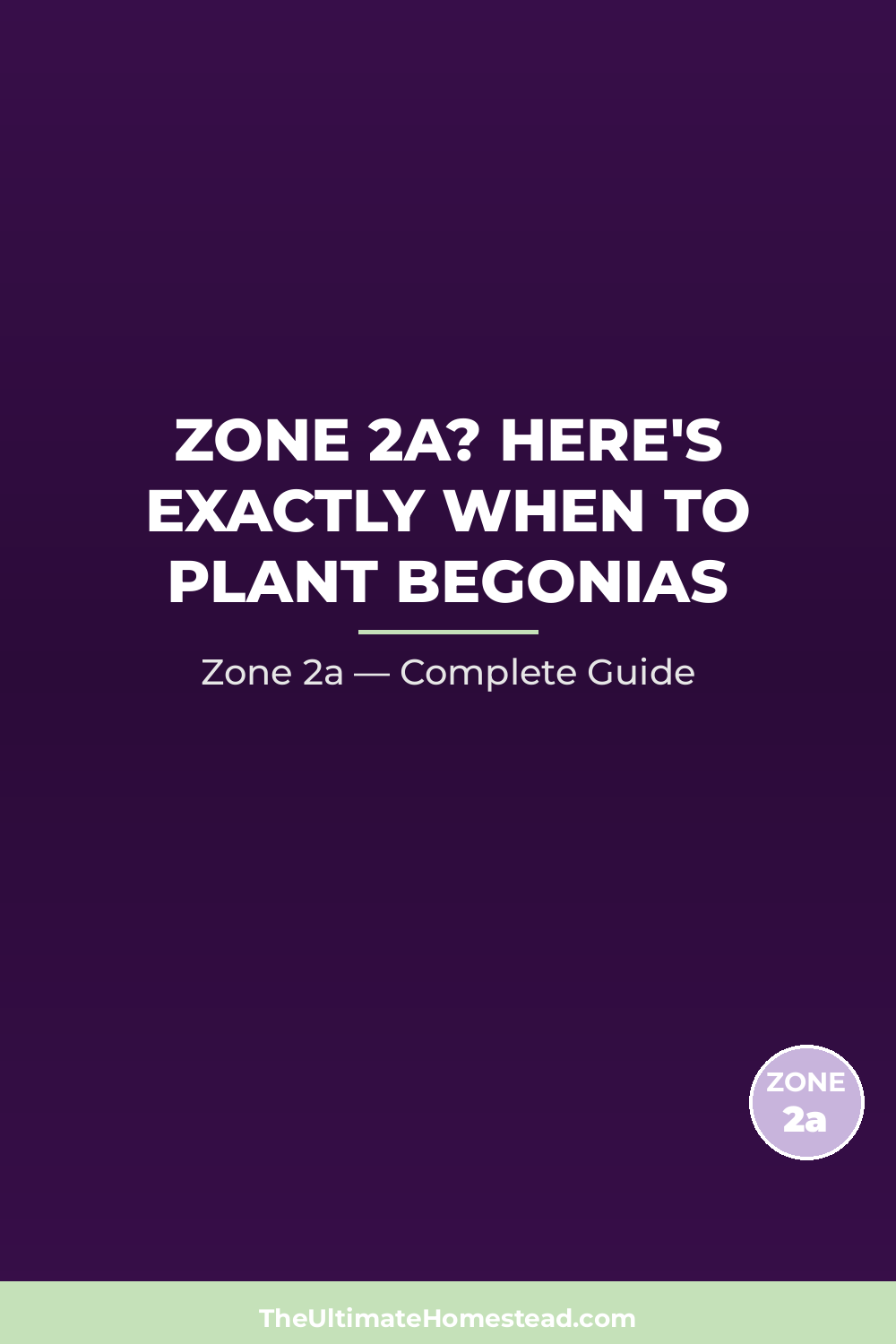 When to Plant Begonias in Zone 2a