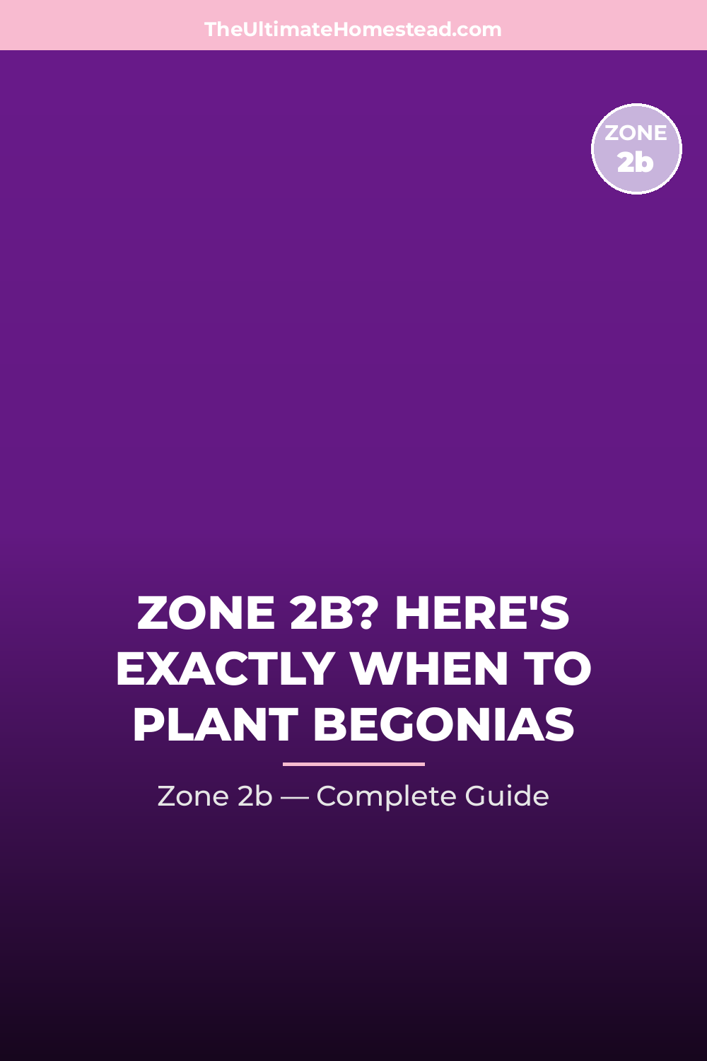 When to Plant Begonias in Zone 2b