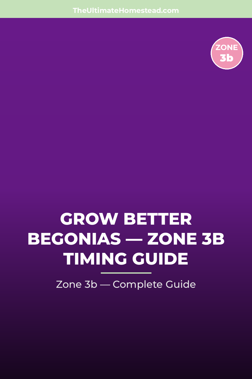 When to Plant Begonias in Zone 3b