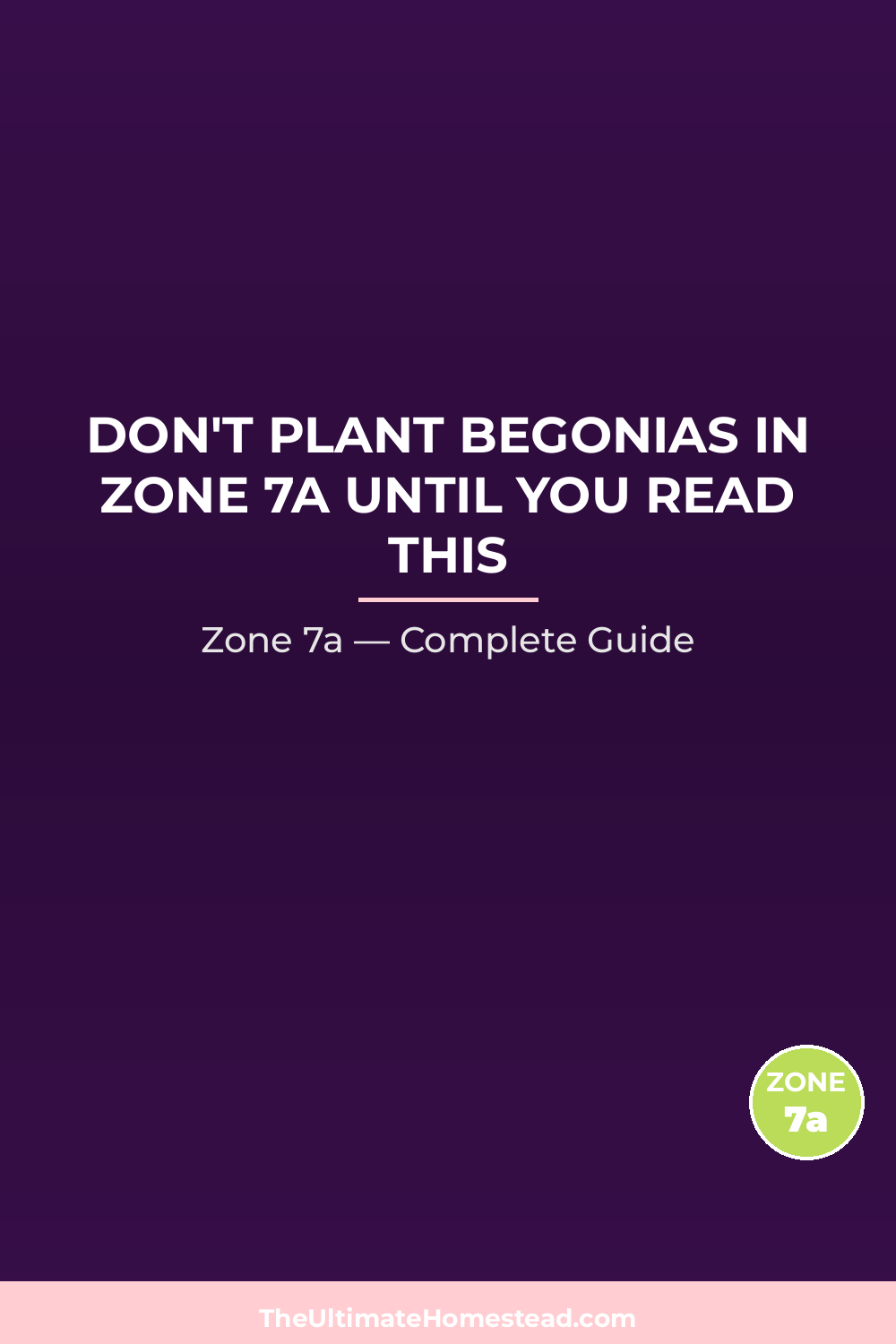 When to Plant Begonias in Zone 7a