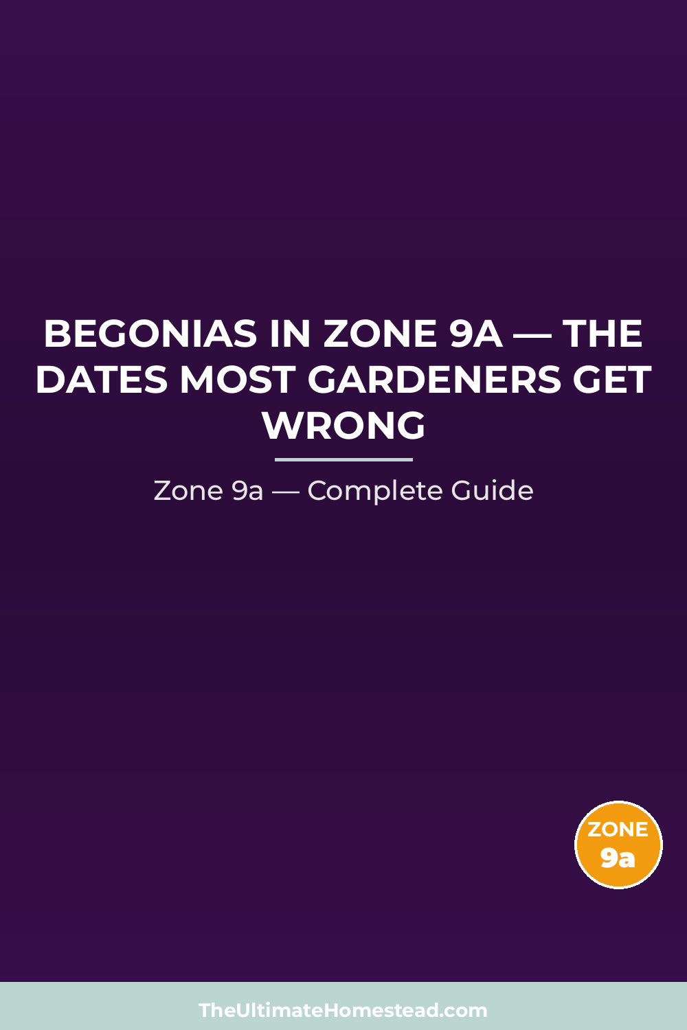 When to Plant Begonias in Zone 9a