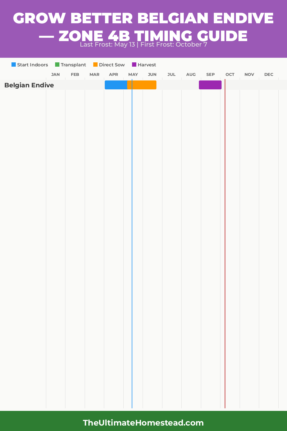 When to Plant Belgian Endive in Zone 4b