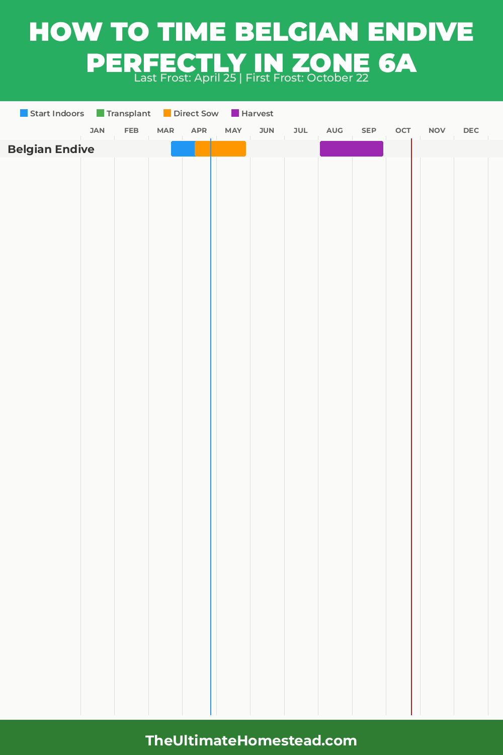 When to Plant Belgian Endive in Zone 6a