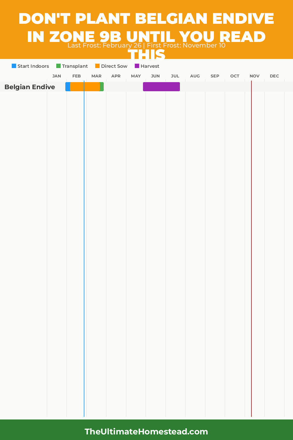 When to Plant Belgian Endive in Zone 9b