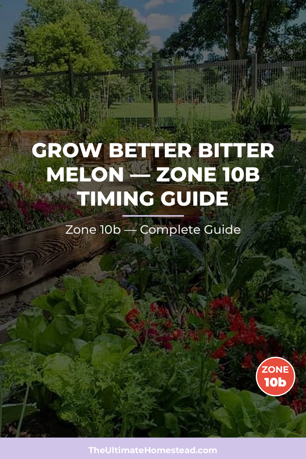 When to Plant Bitter Melon in Zone 10b