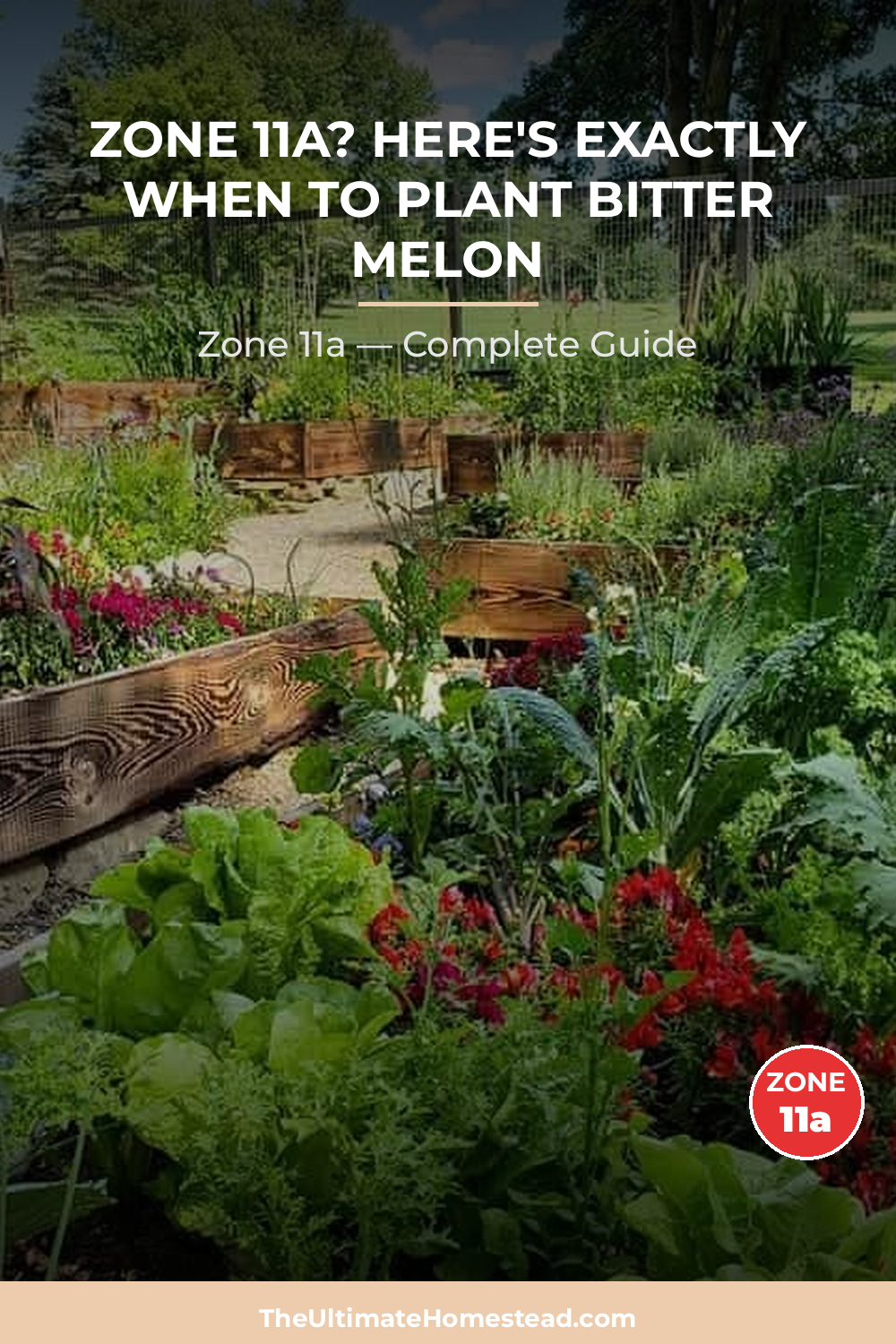 When to Plant Bitter Melon in Zone 11a