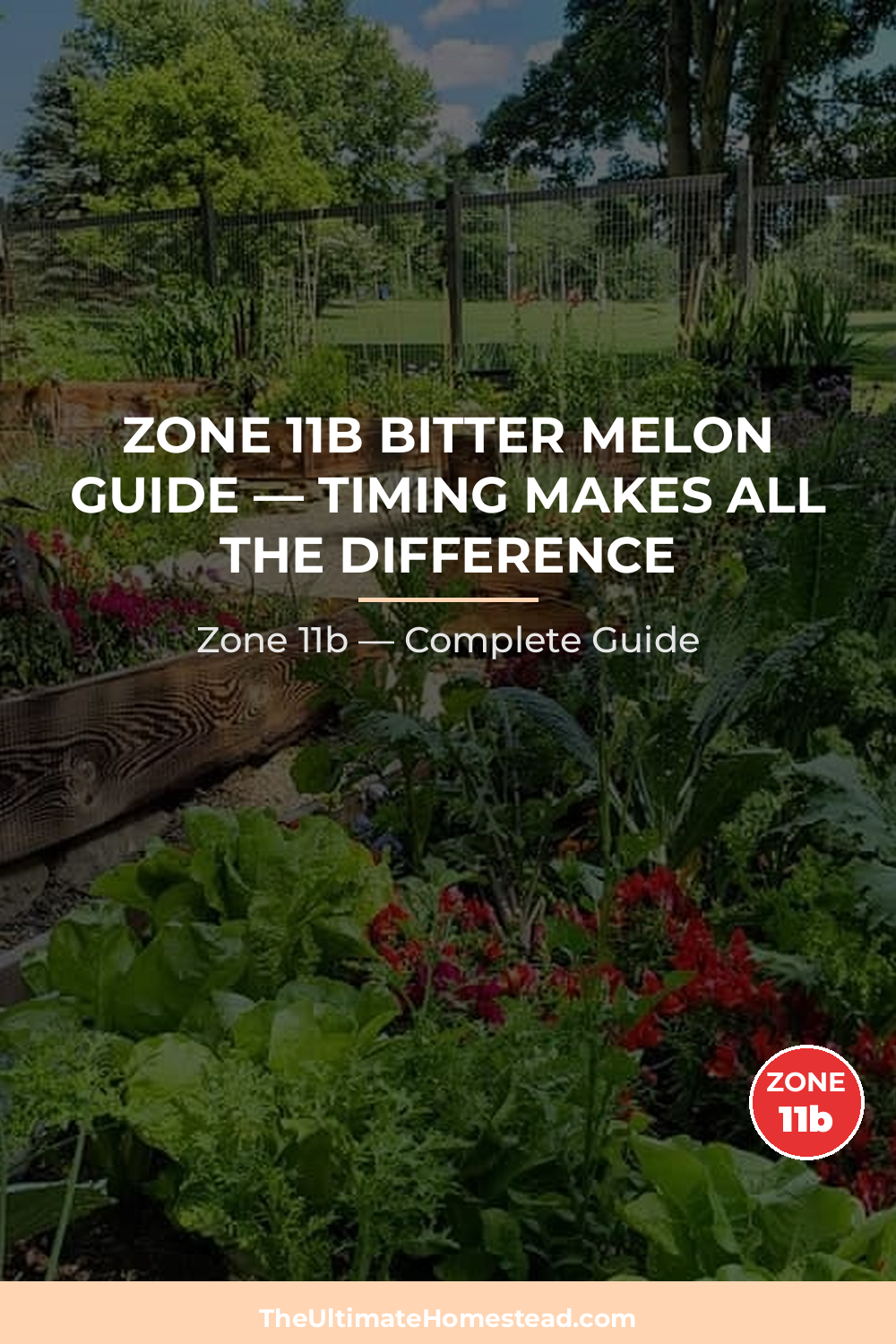 When to Plant Bitter Melon in Zone 11b