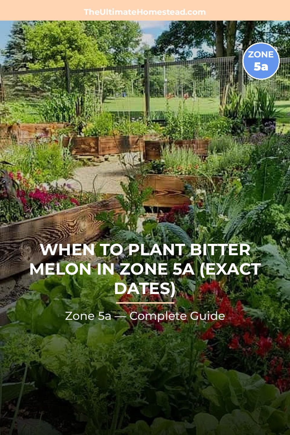 When to Plant Bitter Melon in Zone 5a