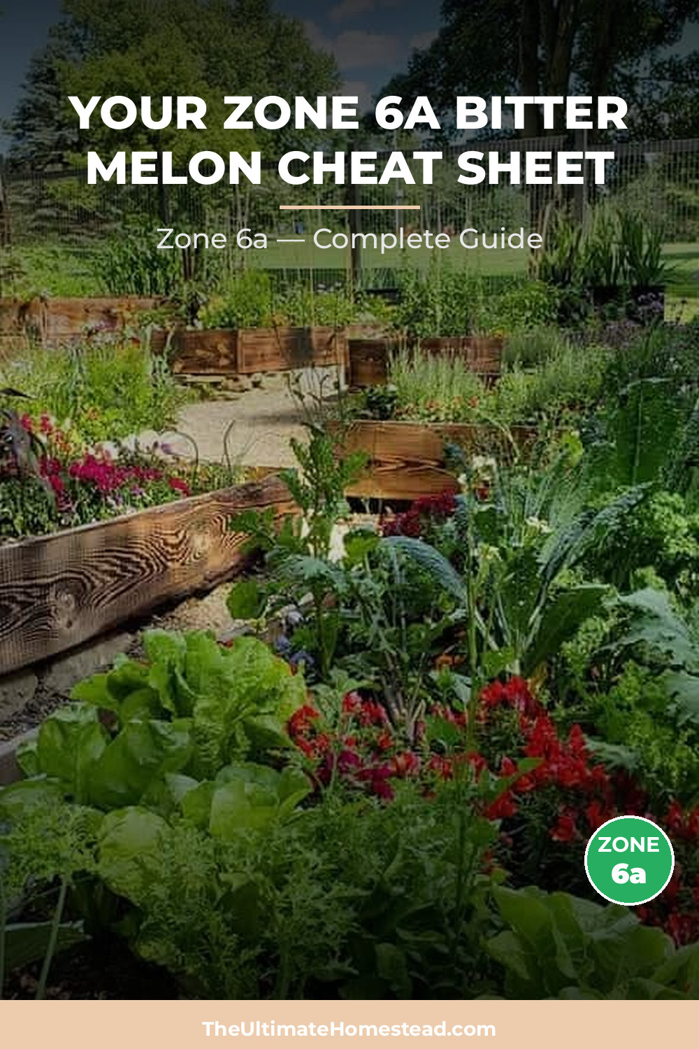 When to Plant Bitter Melon in Zone 6a