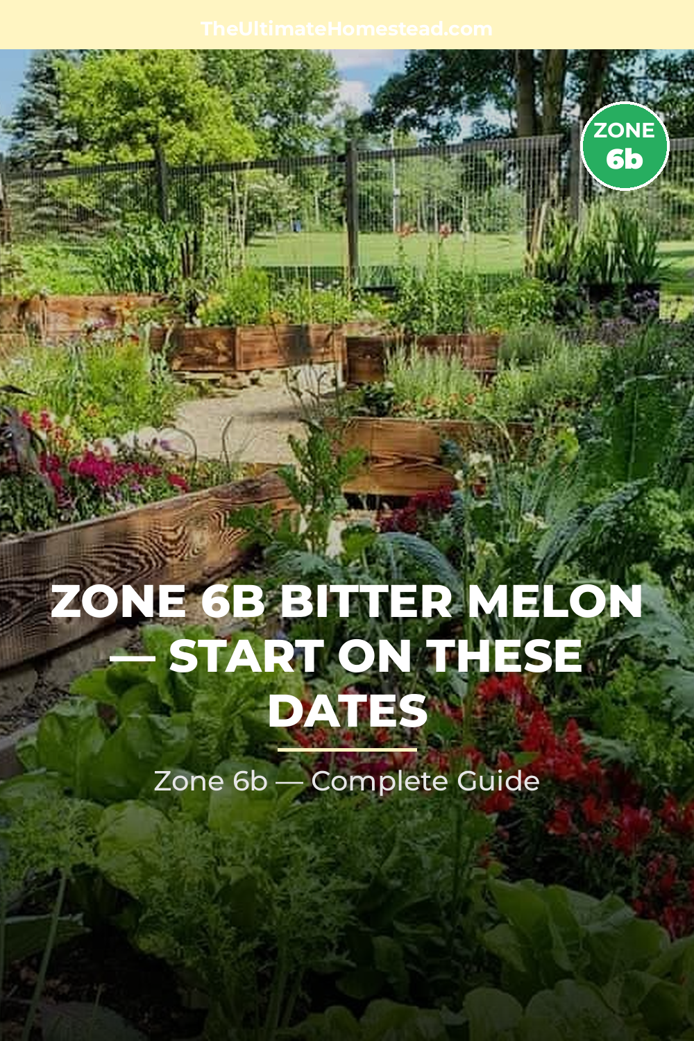 When to Plant Bitter Melon in Zone 6b