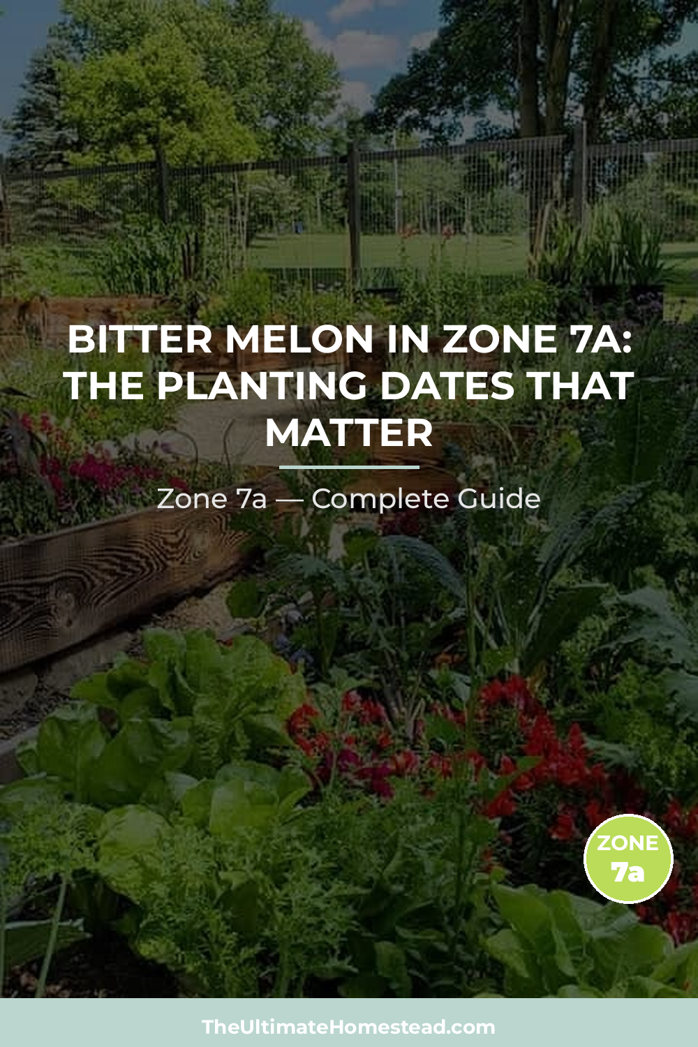 When to Plant Bitter Melon in Zone 7a