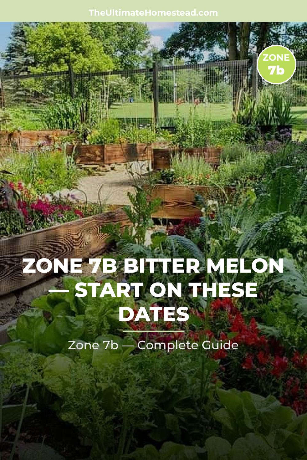 When to Plant Bitter Melon in Zone 7b