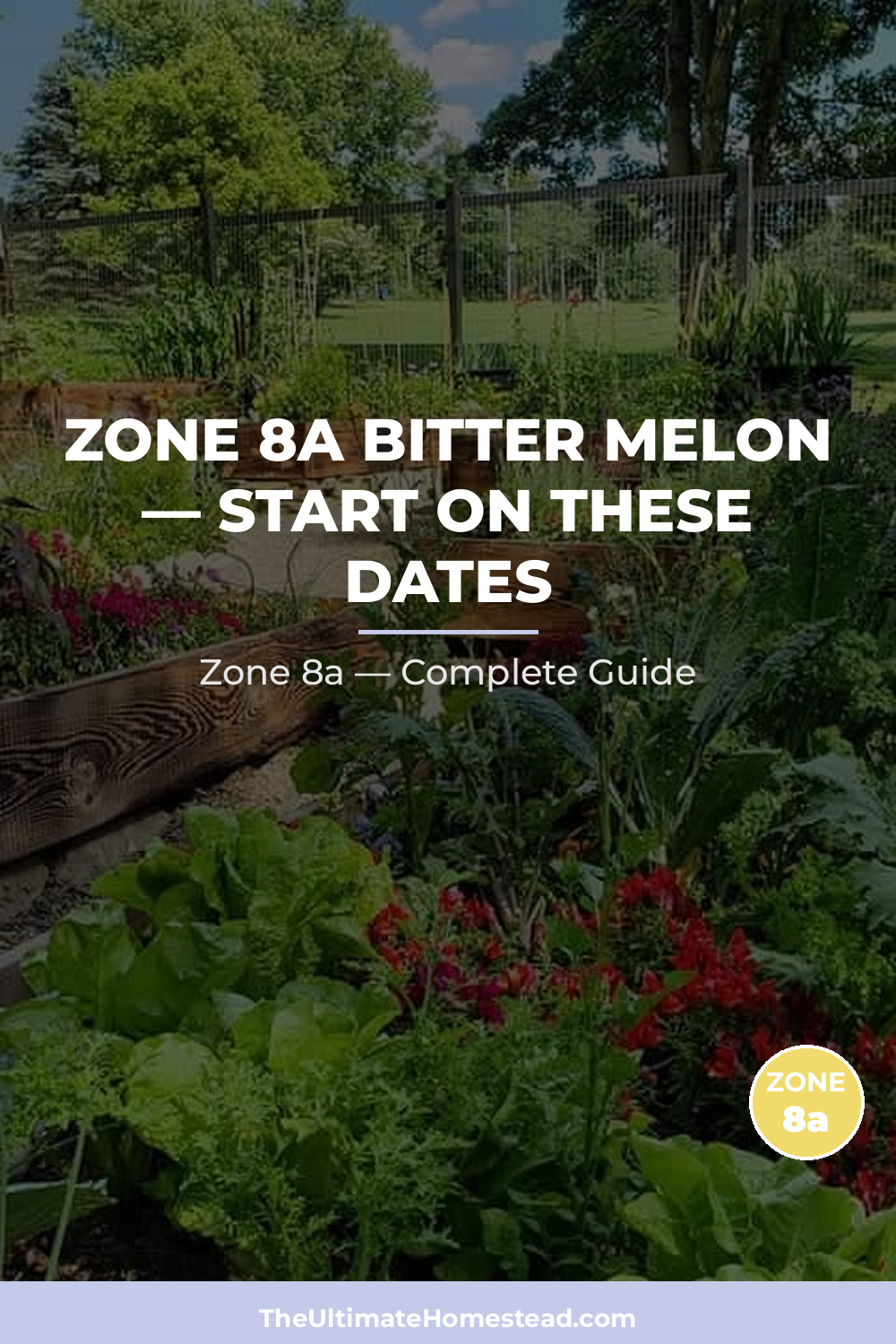 When to Plant Bitter Melon in Zone 8a
