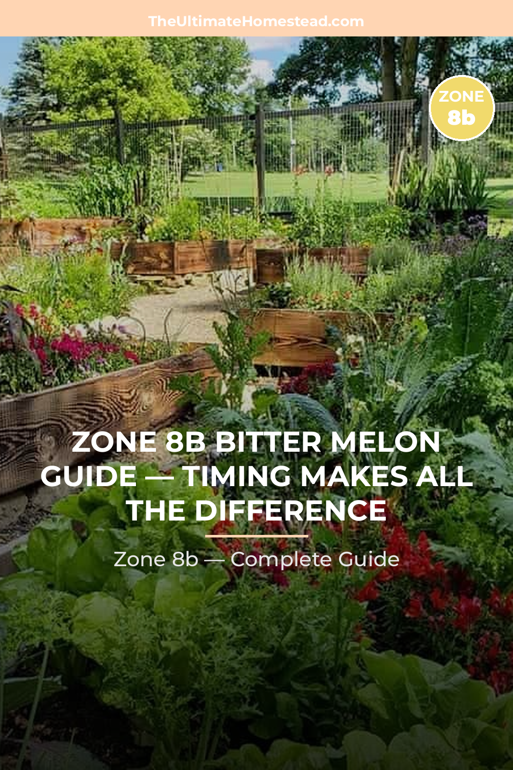 When to Plant Bitter Melon in Zone 8b