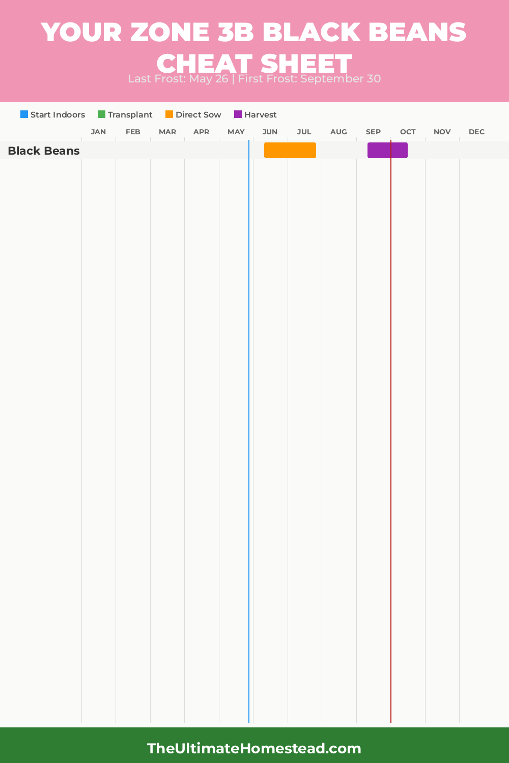 When to Plant Black Beans in Zone 3b