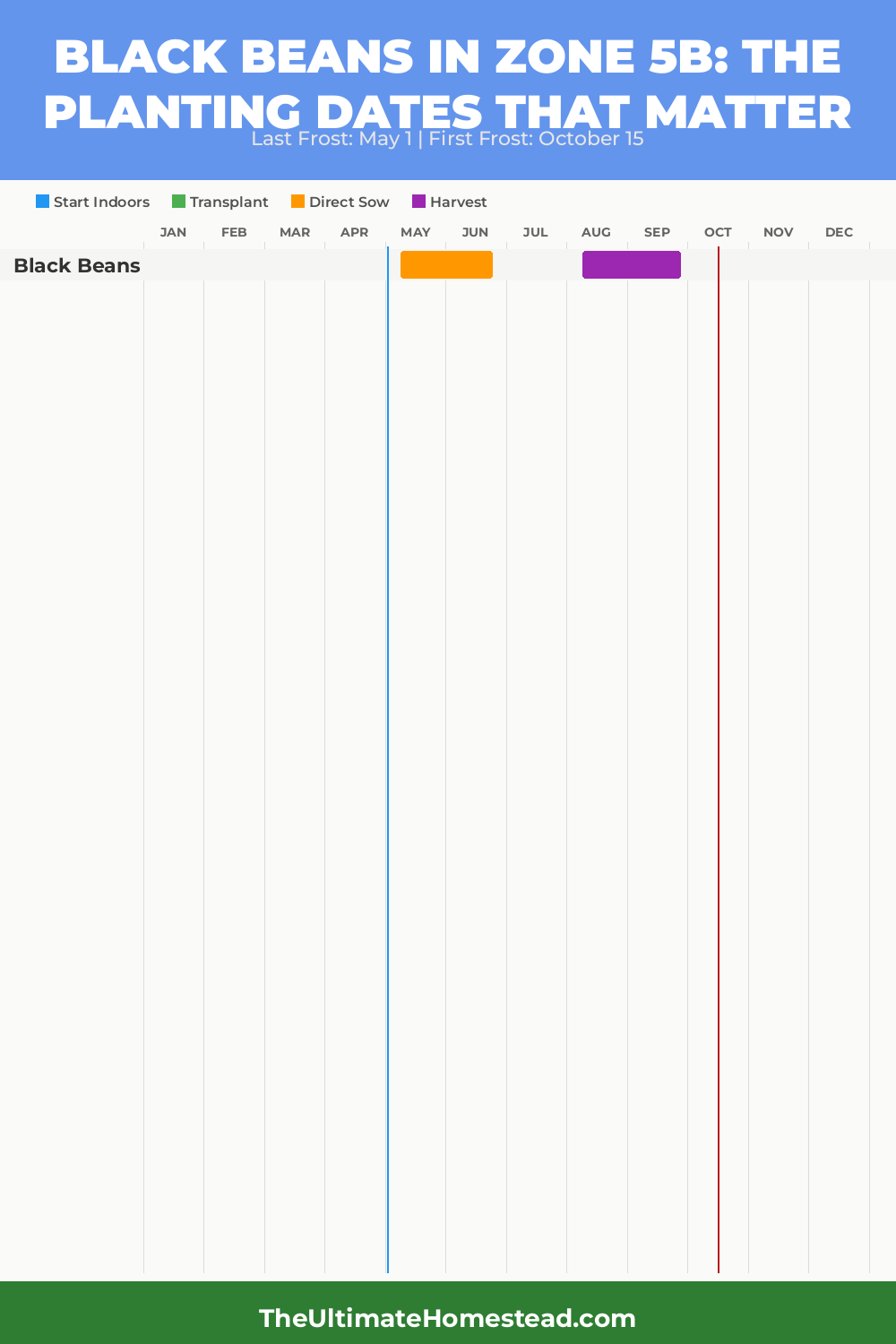 When to Plant Black Beans in Zone 5b