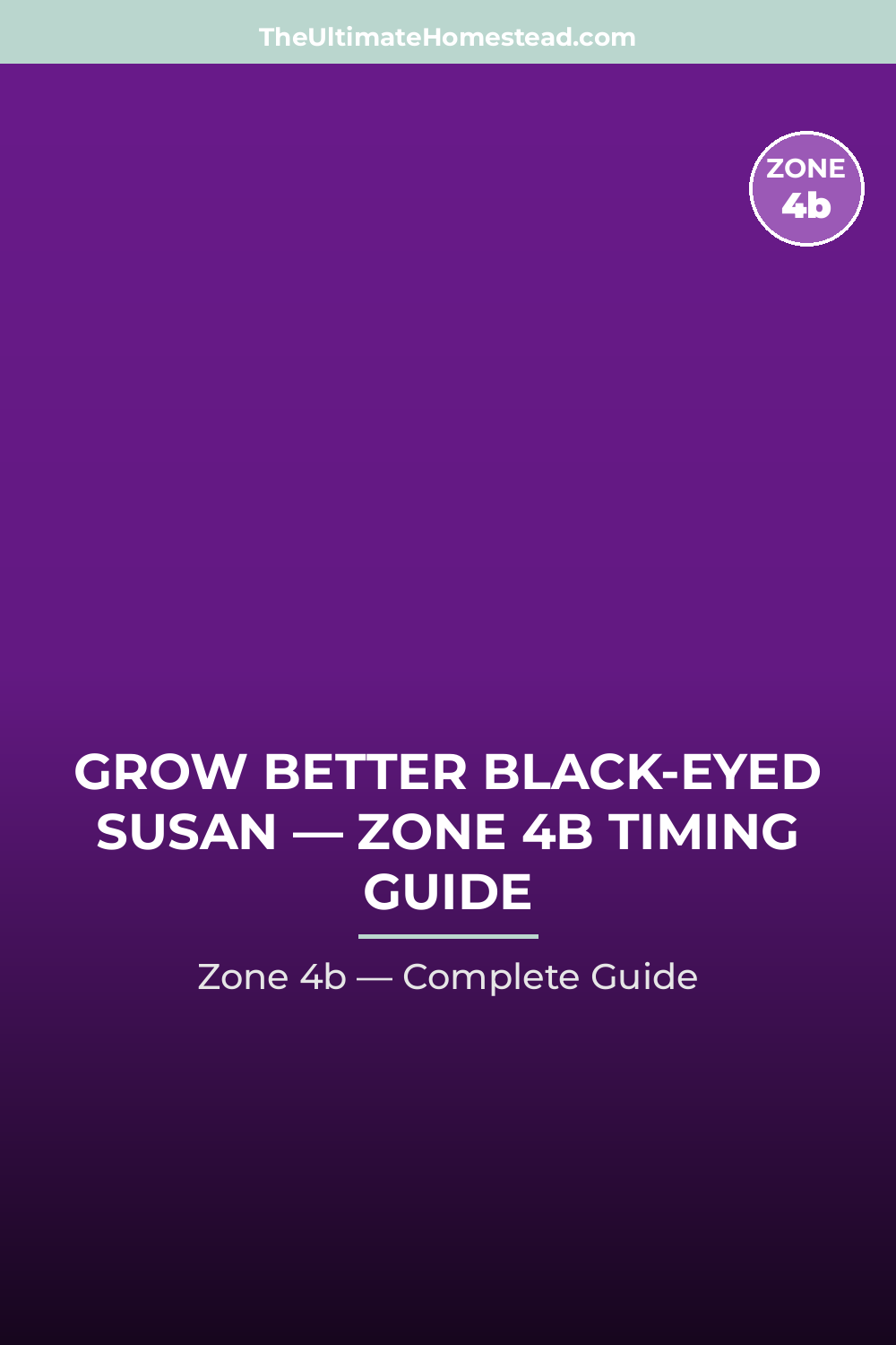 When to Plant Black-eyed Susan in Zone 4b