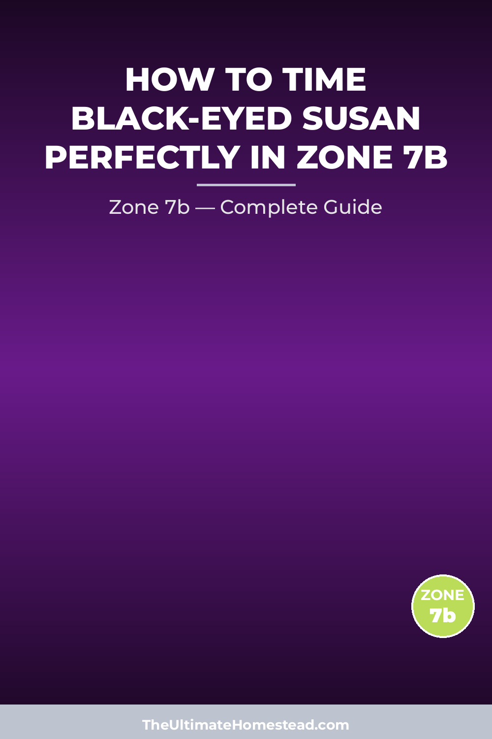 When to Plant Black-eyed Susan in Zone 7b