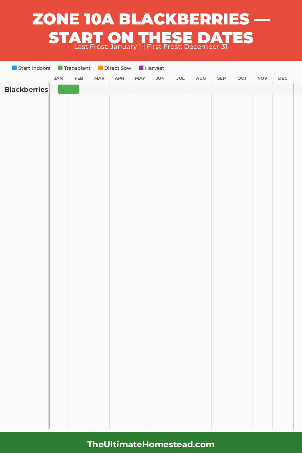 When to Plant Blackberries in Zone 10a