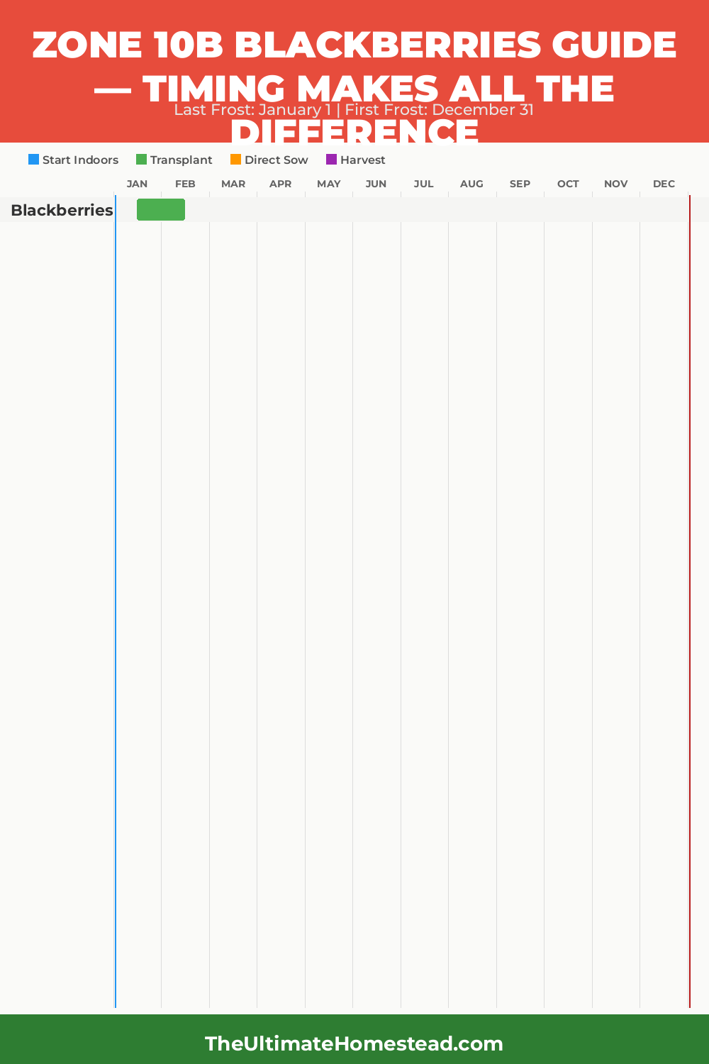 When to Plant Blackberries in Zone 10b