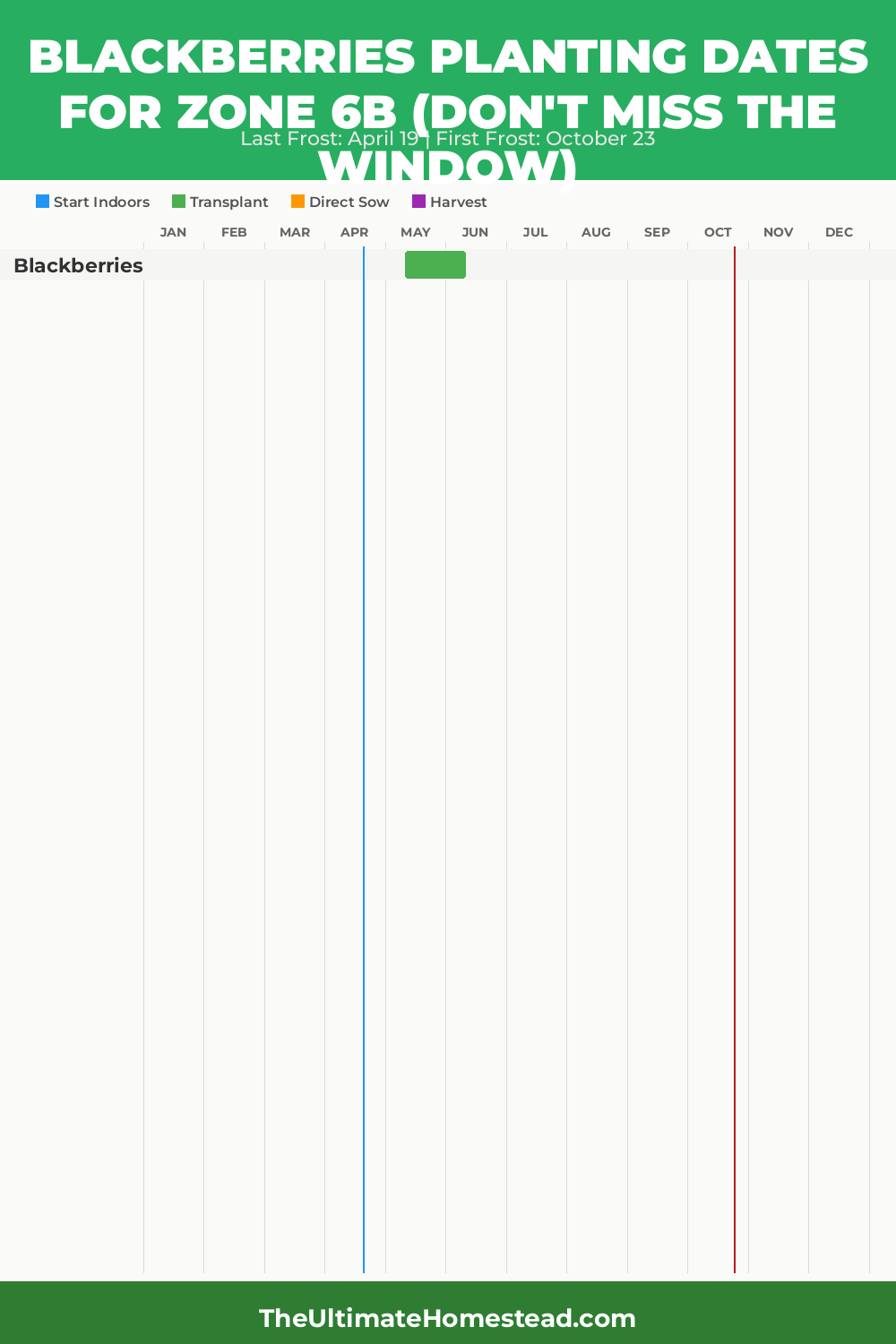 When to Plant Blackberries in Zone 6b