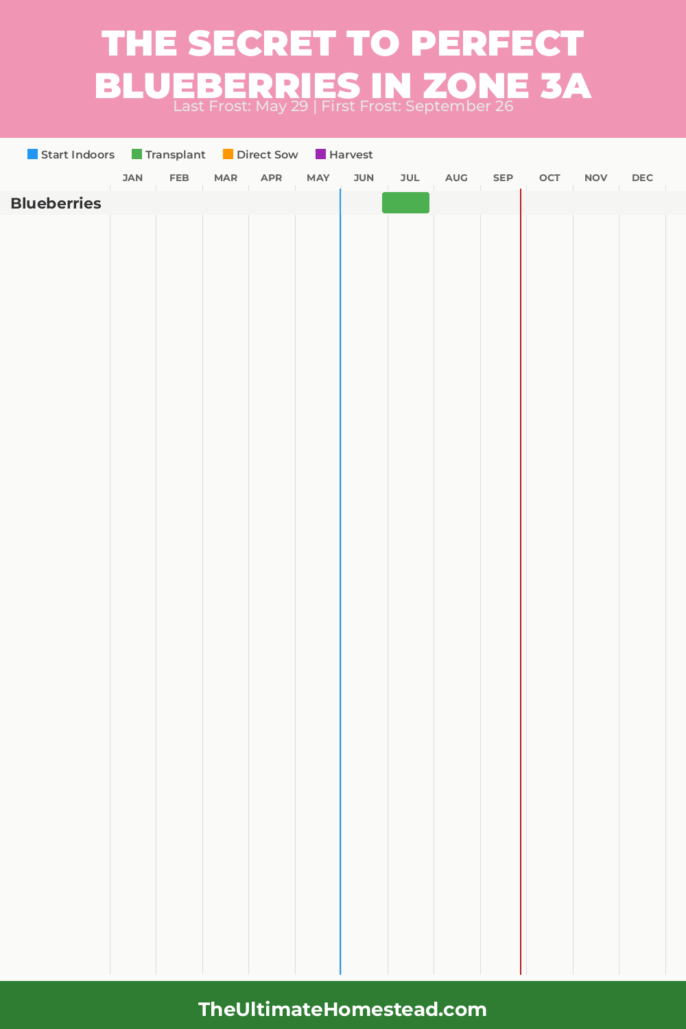When to Plant Blueberries in Zone 3a