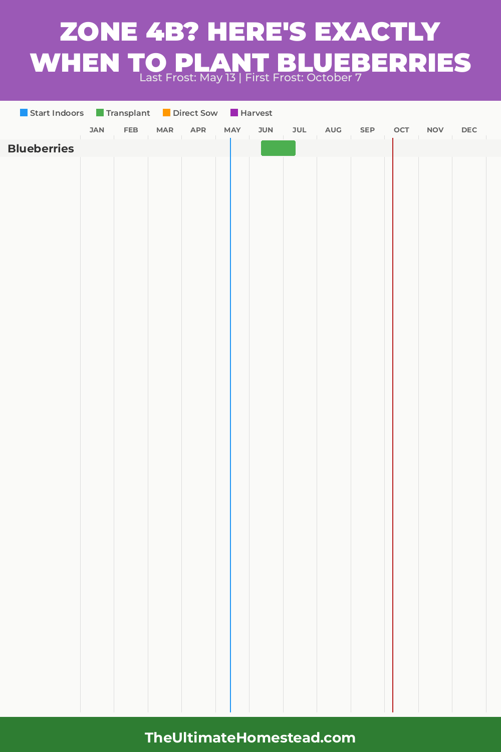 When to Plant Blueberries in Zone 4b