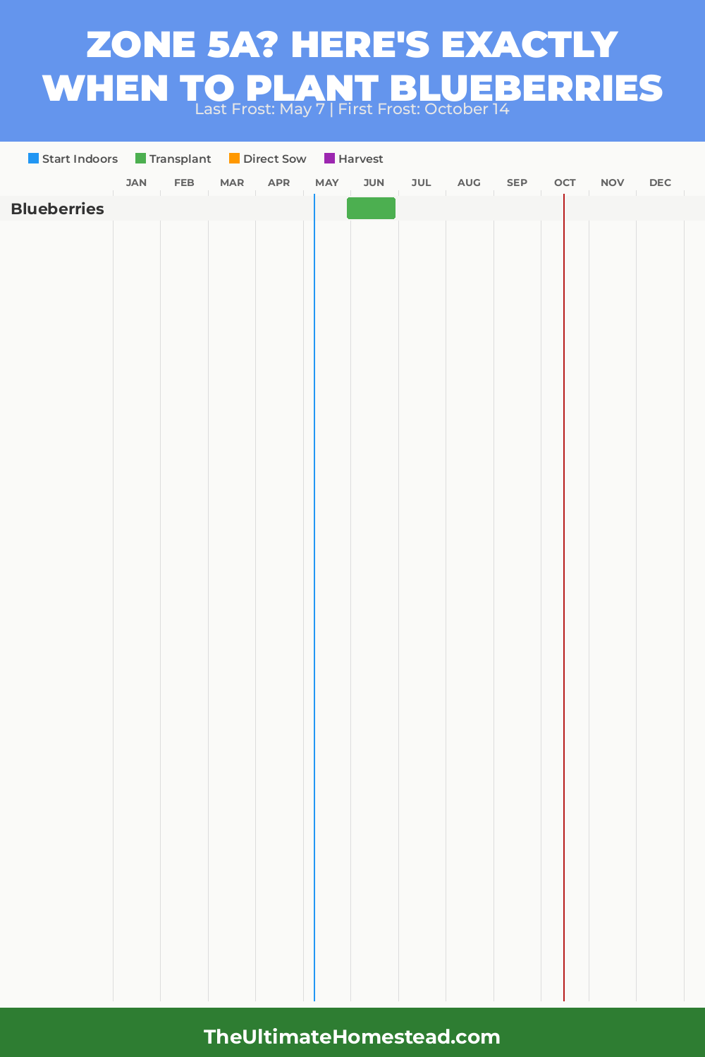 When to Plant Blueberries in Zone 5a