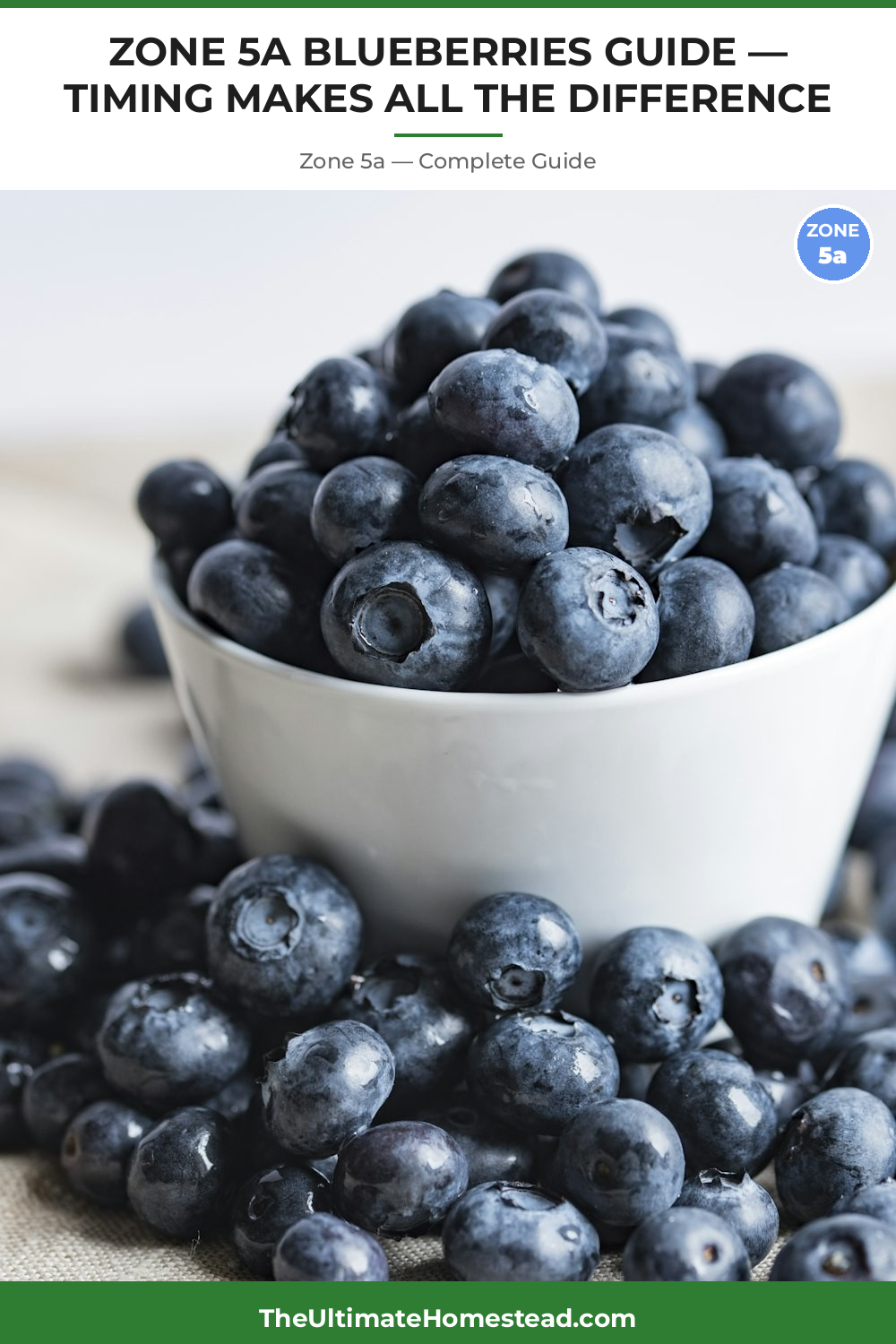 When to Plant Blueberries in Zone 5a