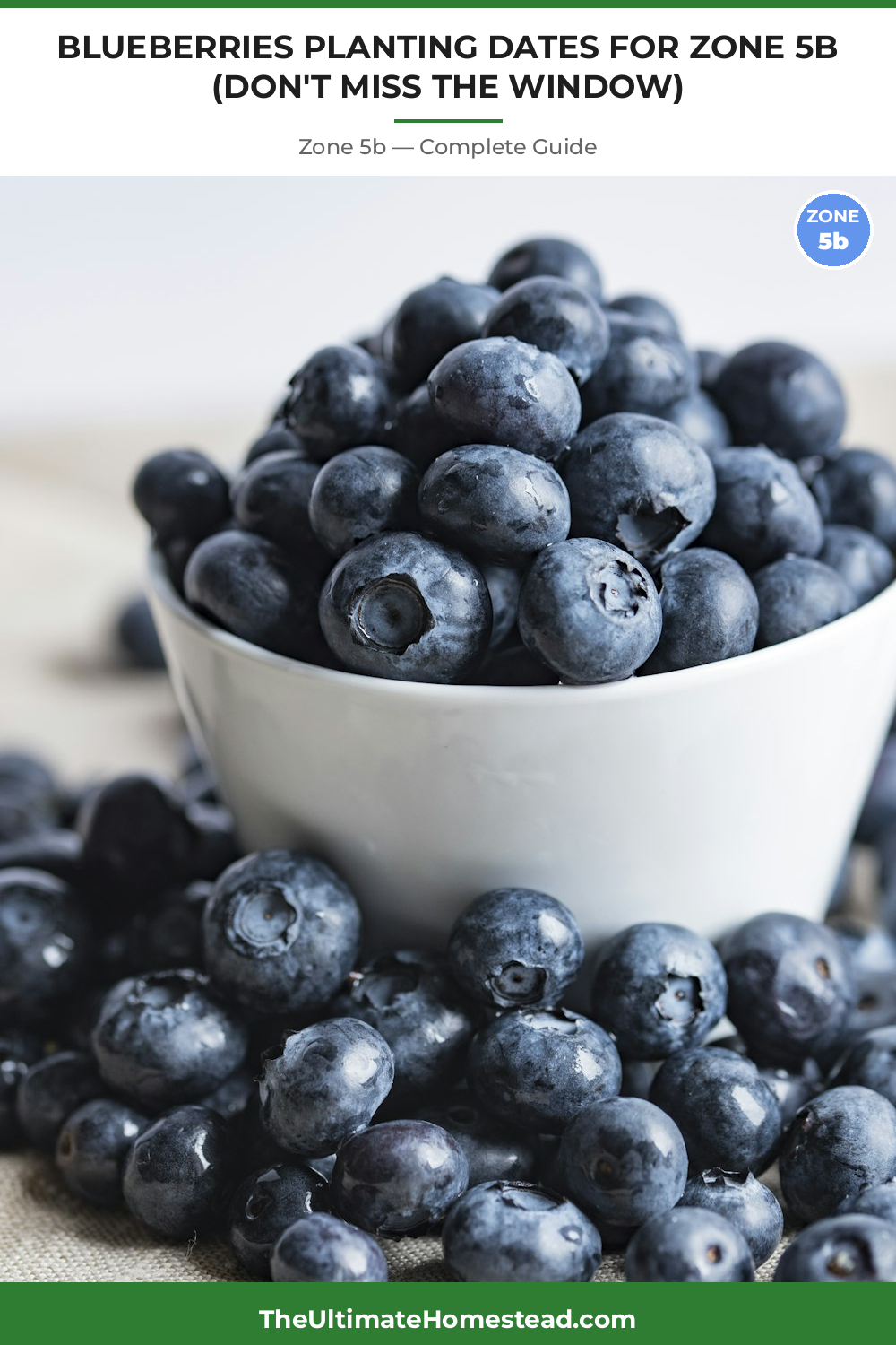 When to Plant Blueberries in Zone 5b