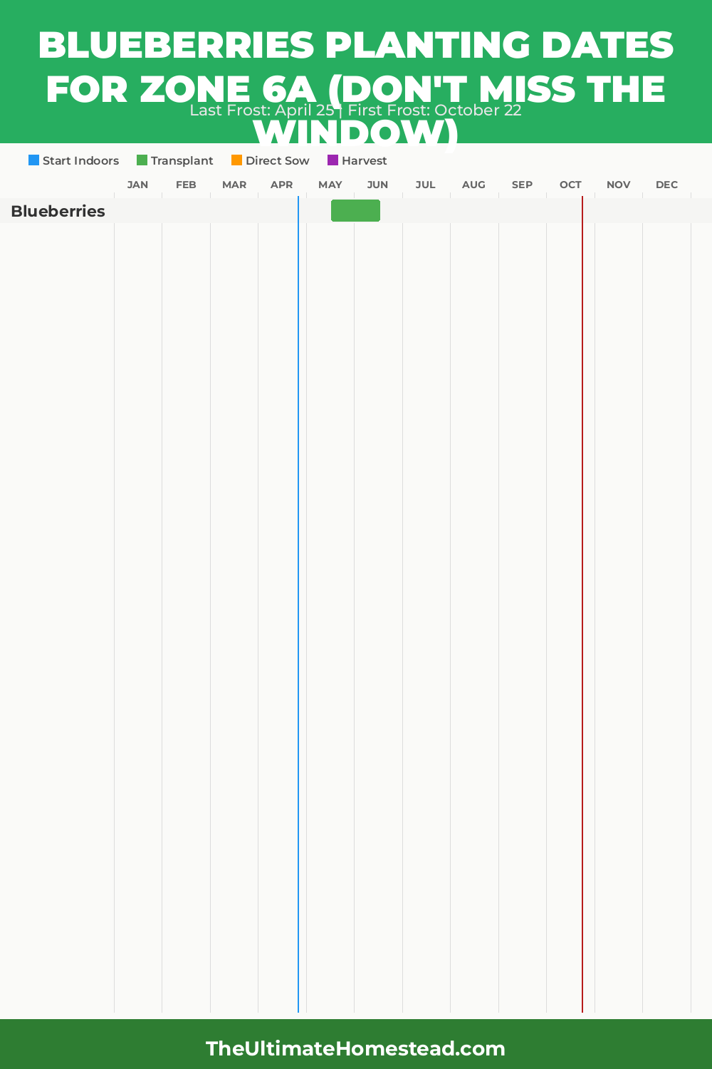 When to Plant Blueberries in Zone 6a