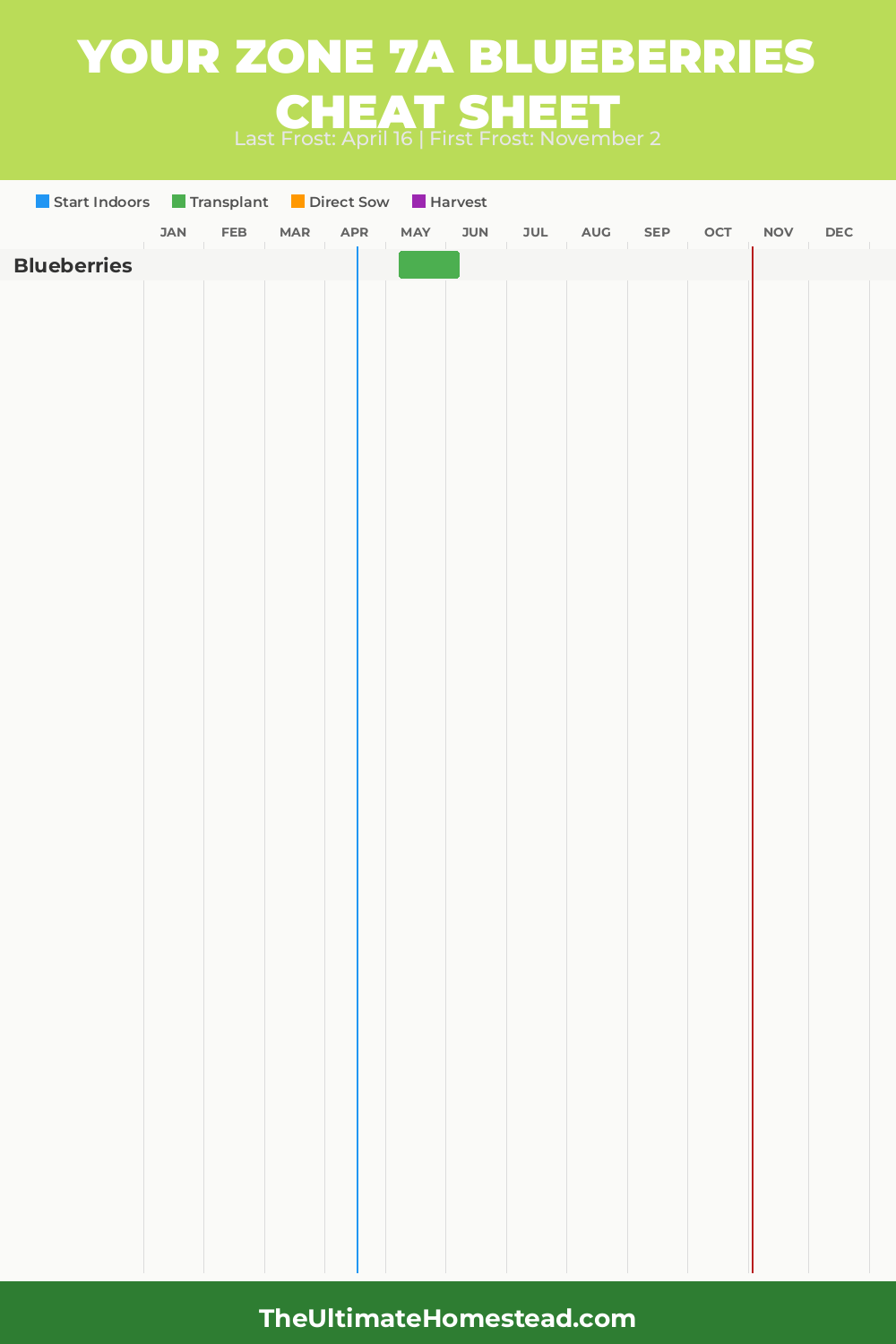 When to Plant Blueberries in Zone 7a