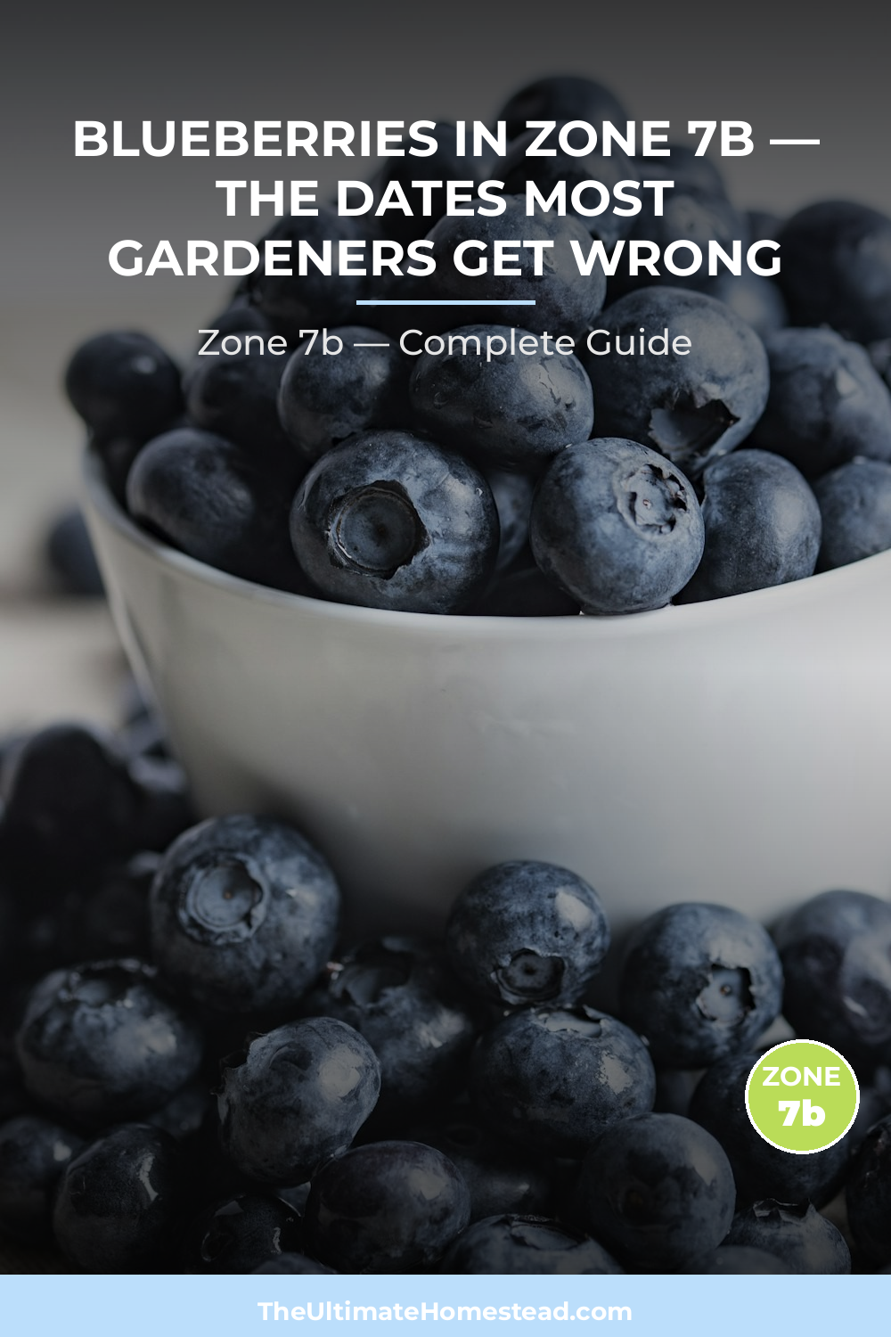 When to Plant Blueberries in Zone 7b