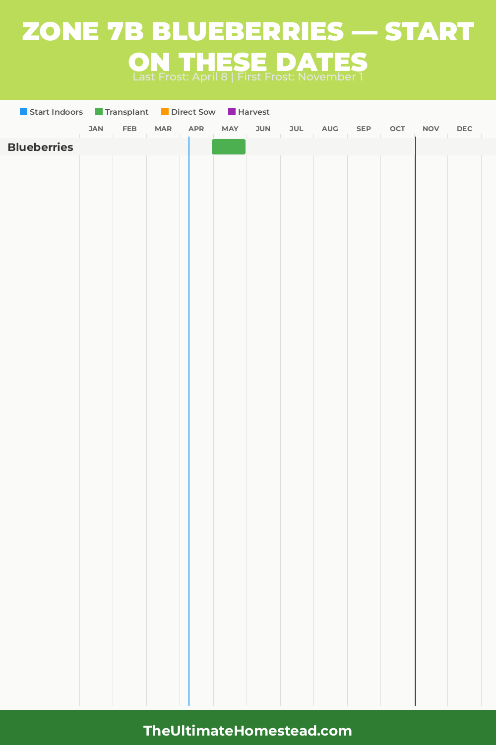 When to Plant Blueberries in Zone 7b