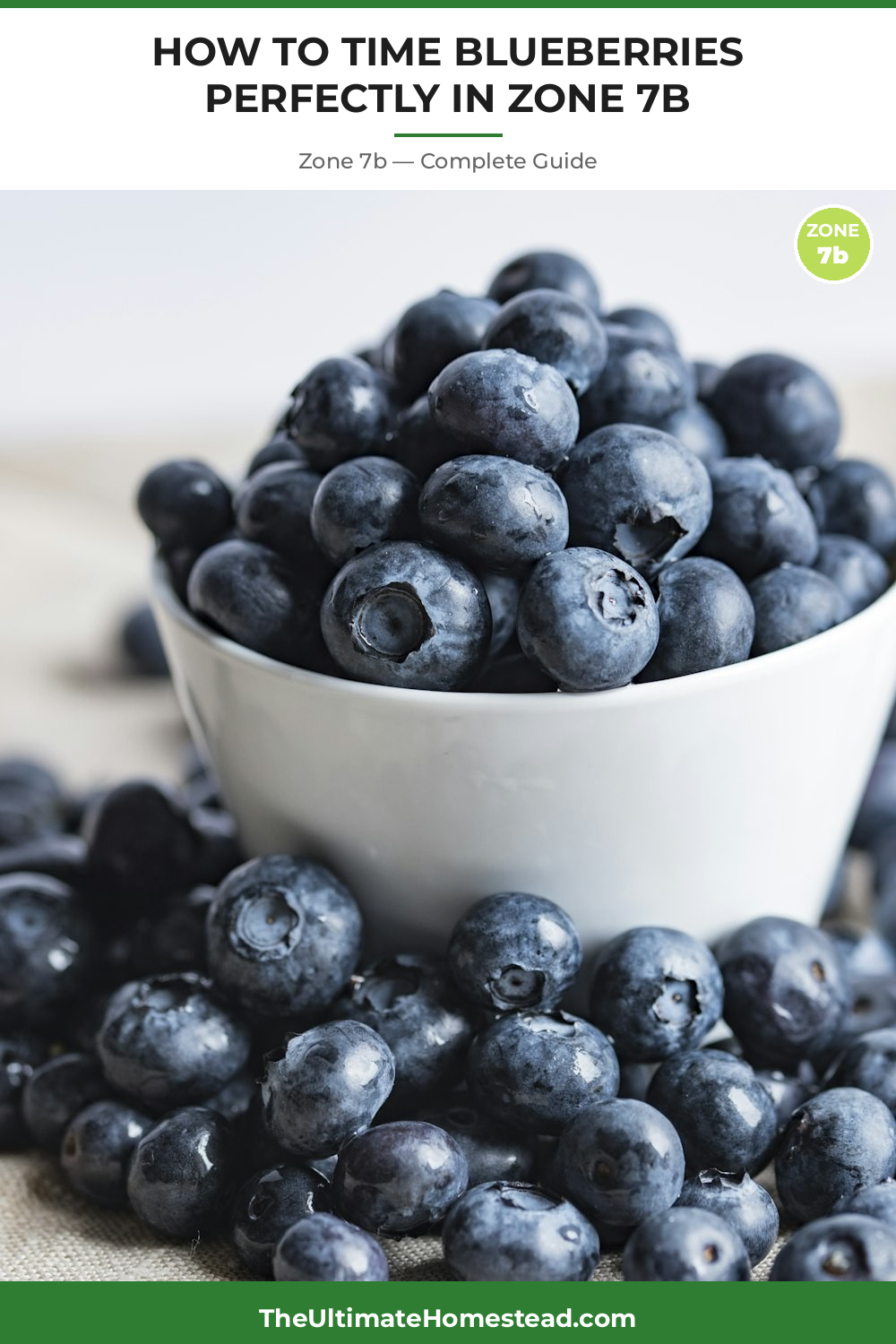 When to Plant Blueberries in Zone 7b