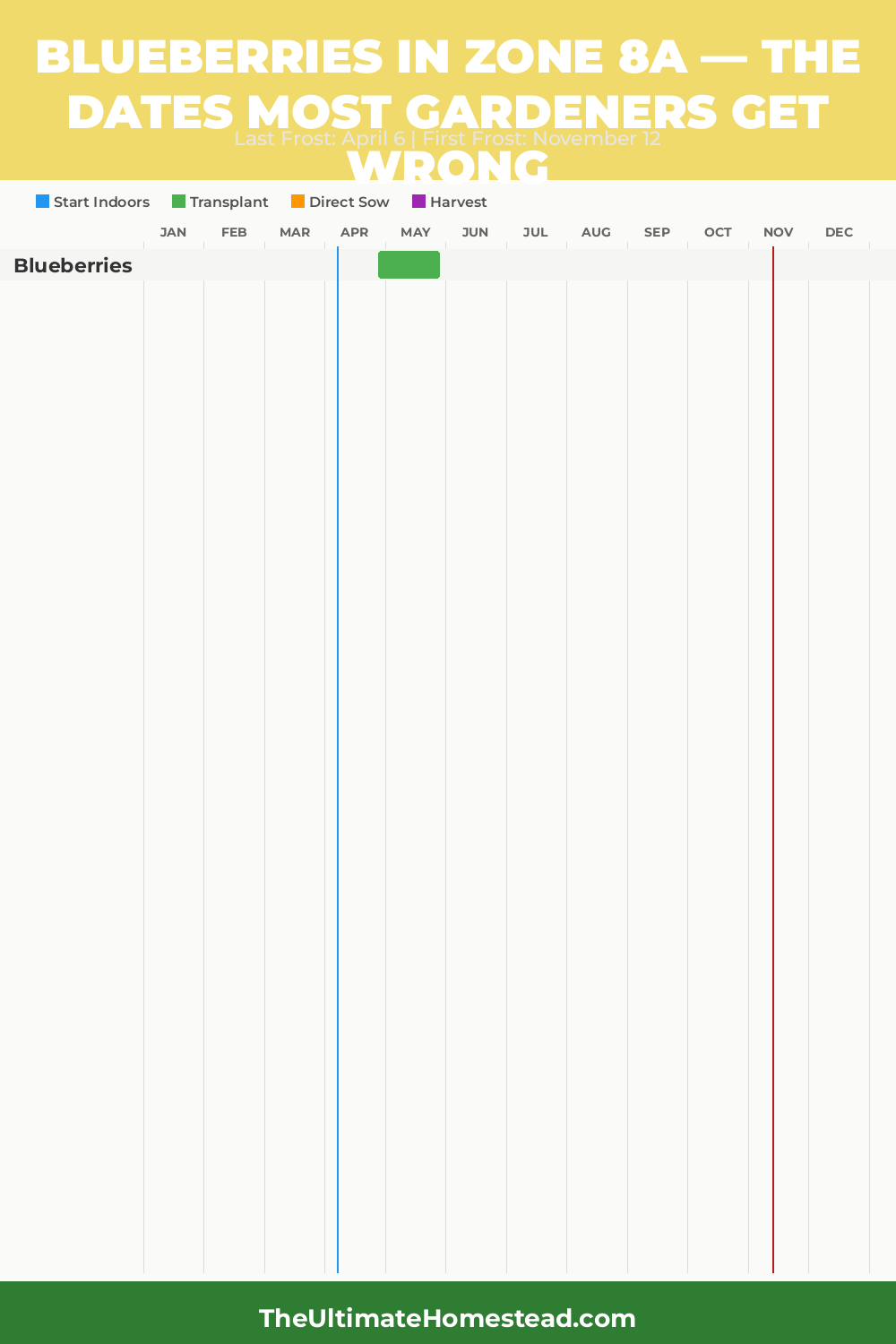 When to Plant Blueberries in Zone 8a