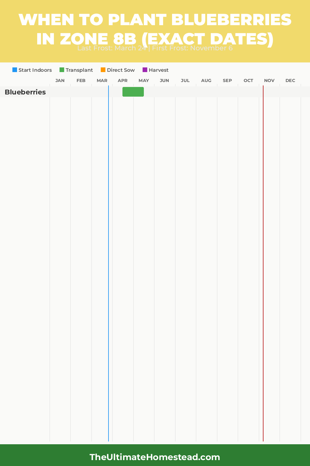 When to Plant Blueberries in Zone 8b