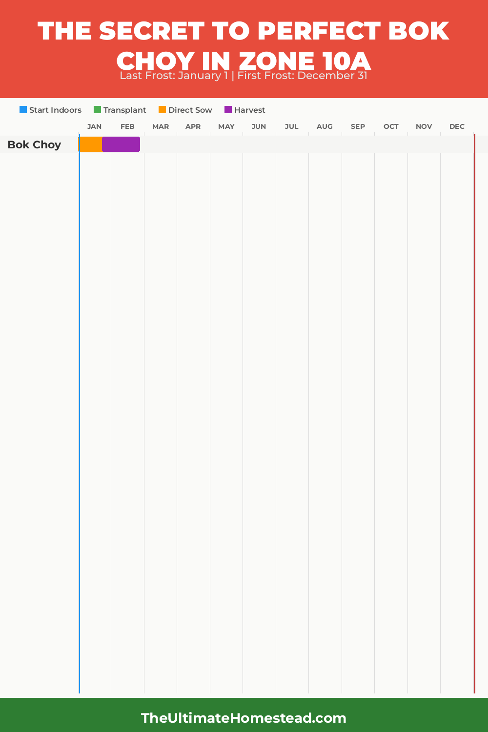 When to Plant Bok Choy in Zone 10a