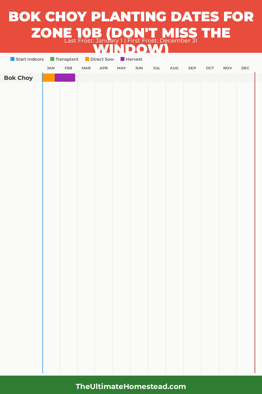 When to Plant Bok Choy in Zone 10b