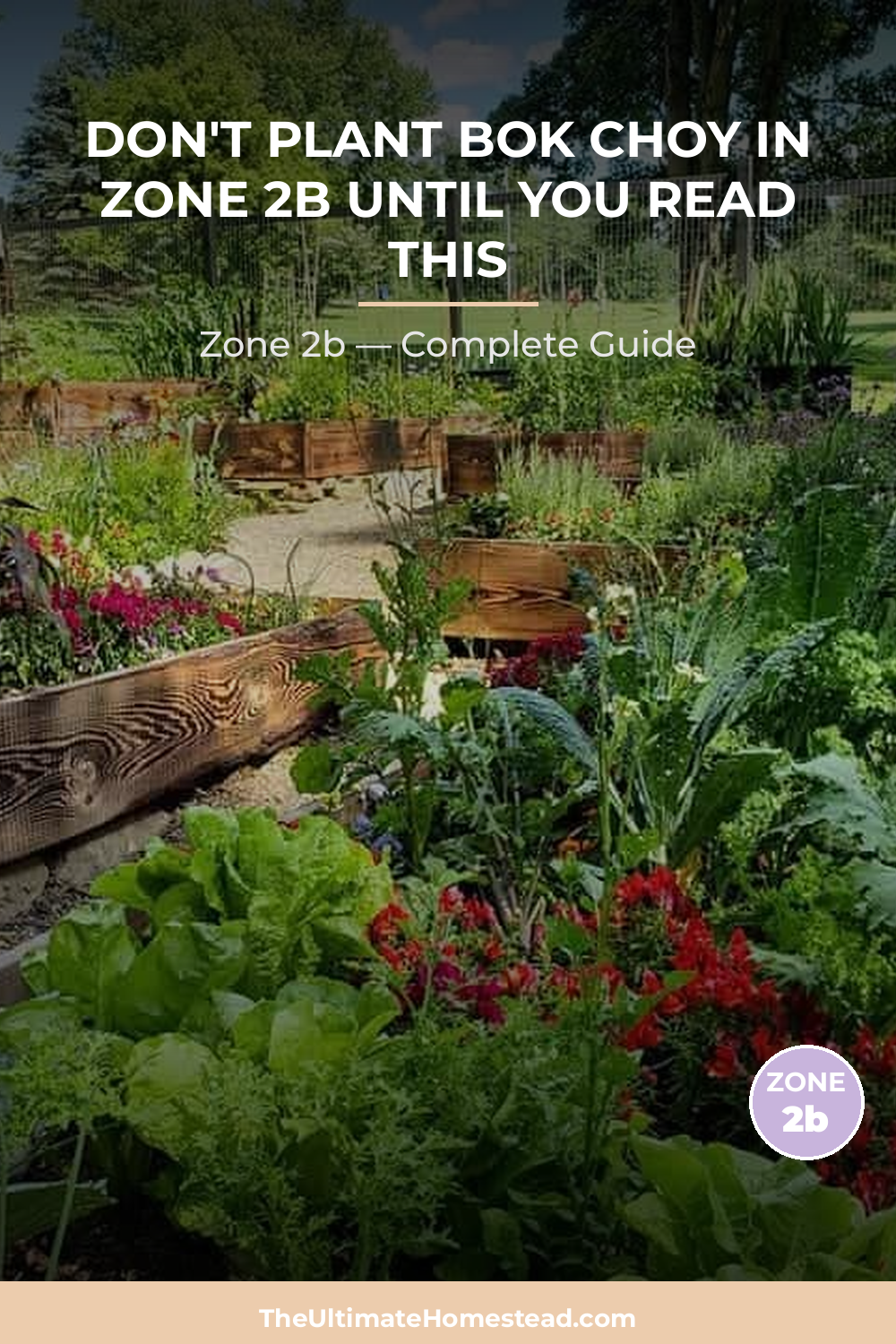 When to Plant Bok Choy in Zone 2b