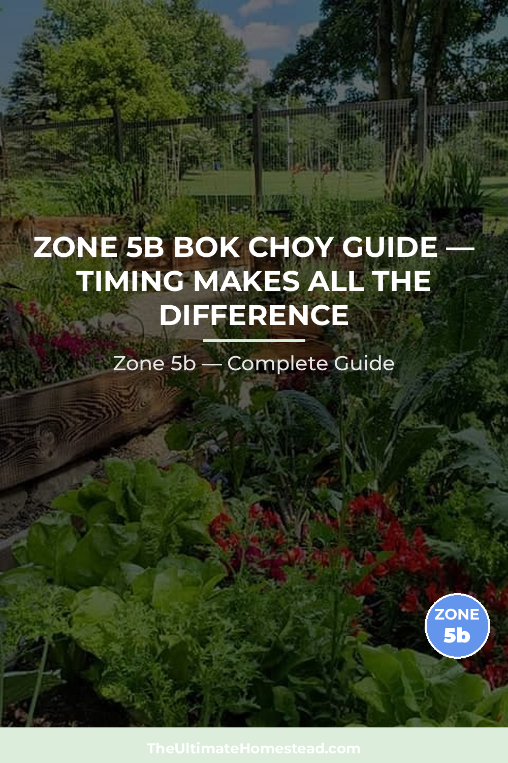 When to Plant Bok Choy in Zone 5b