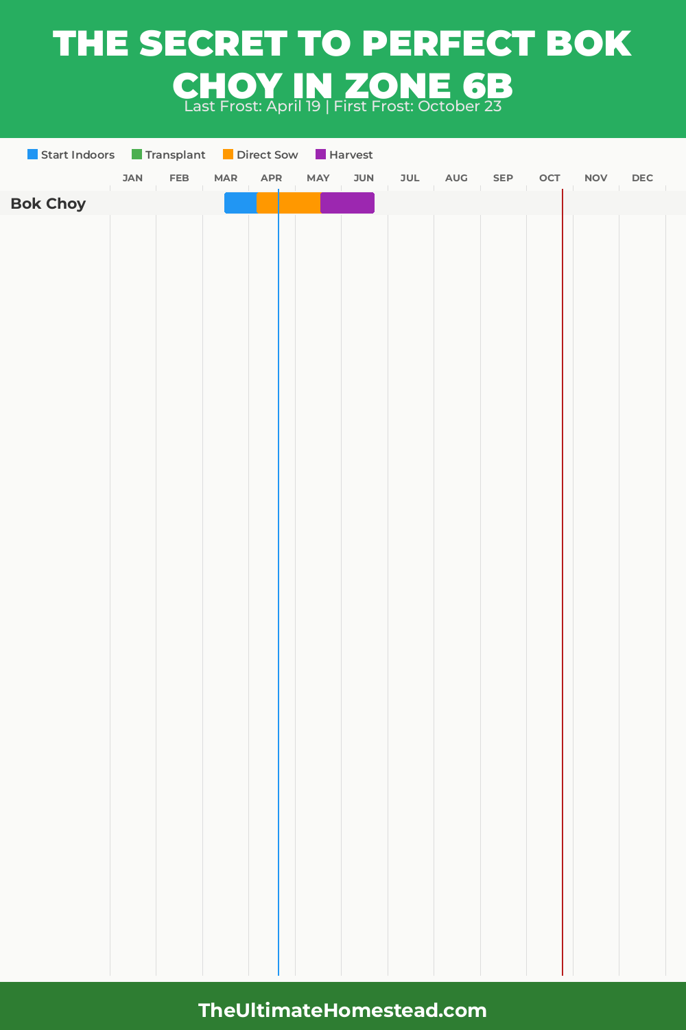 When to Plant Bok Choy in Zone 6b