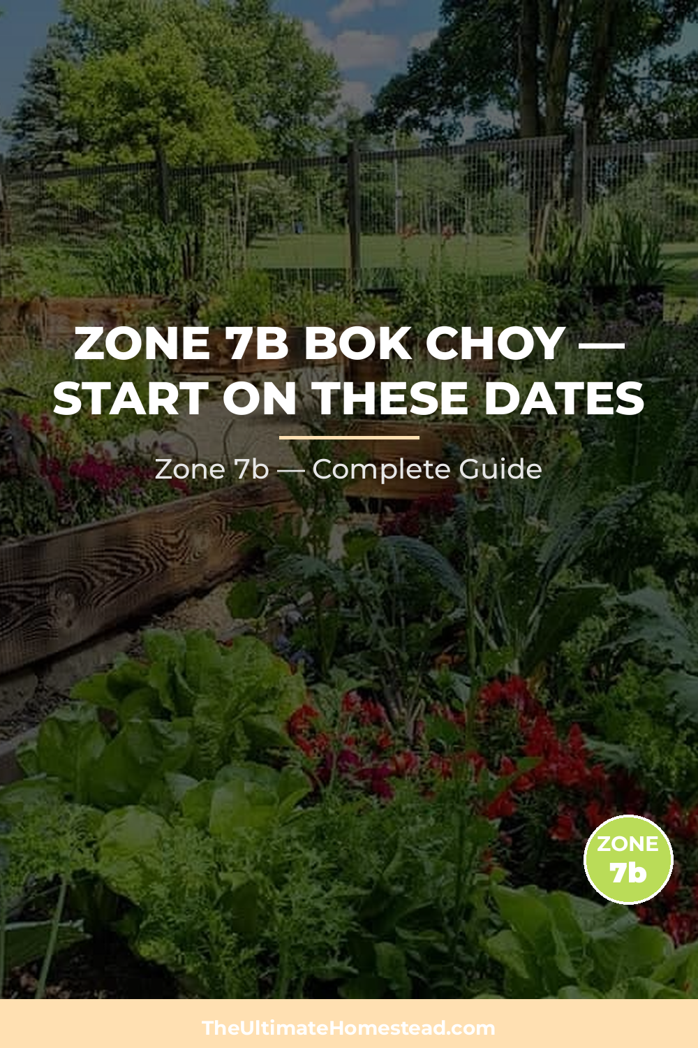 When to Plant Bok Choy in Zone 7b