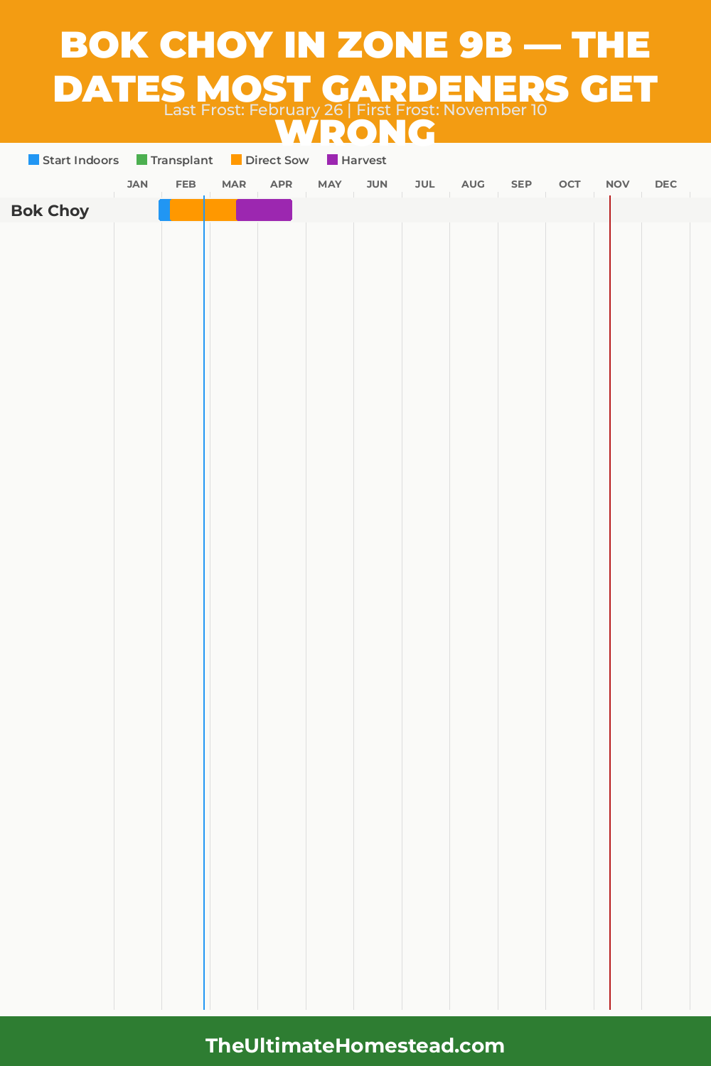 When to Plant Bok Choy in Zone 9b