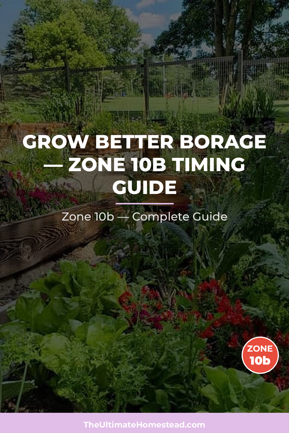When to Plant Borage in Zone 10b