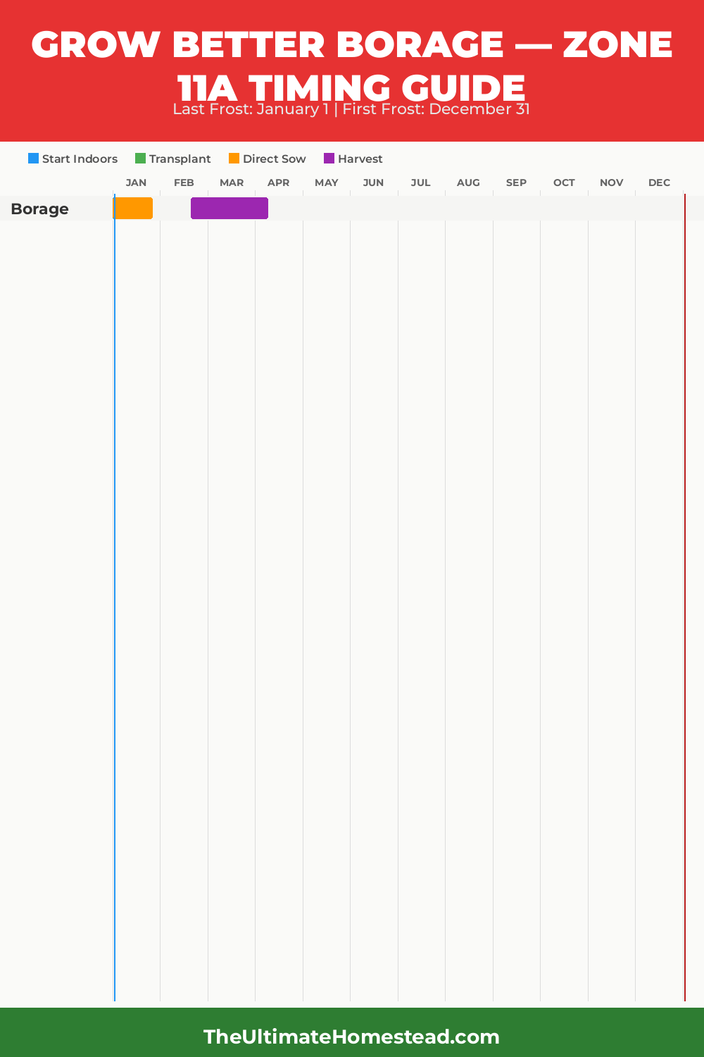 When to Plant Borage in Zone 11a