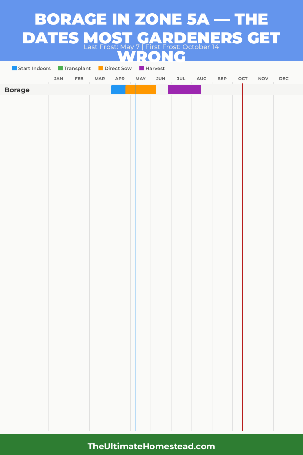 When to Plant Borage in Zone 5a
