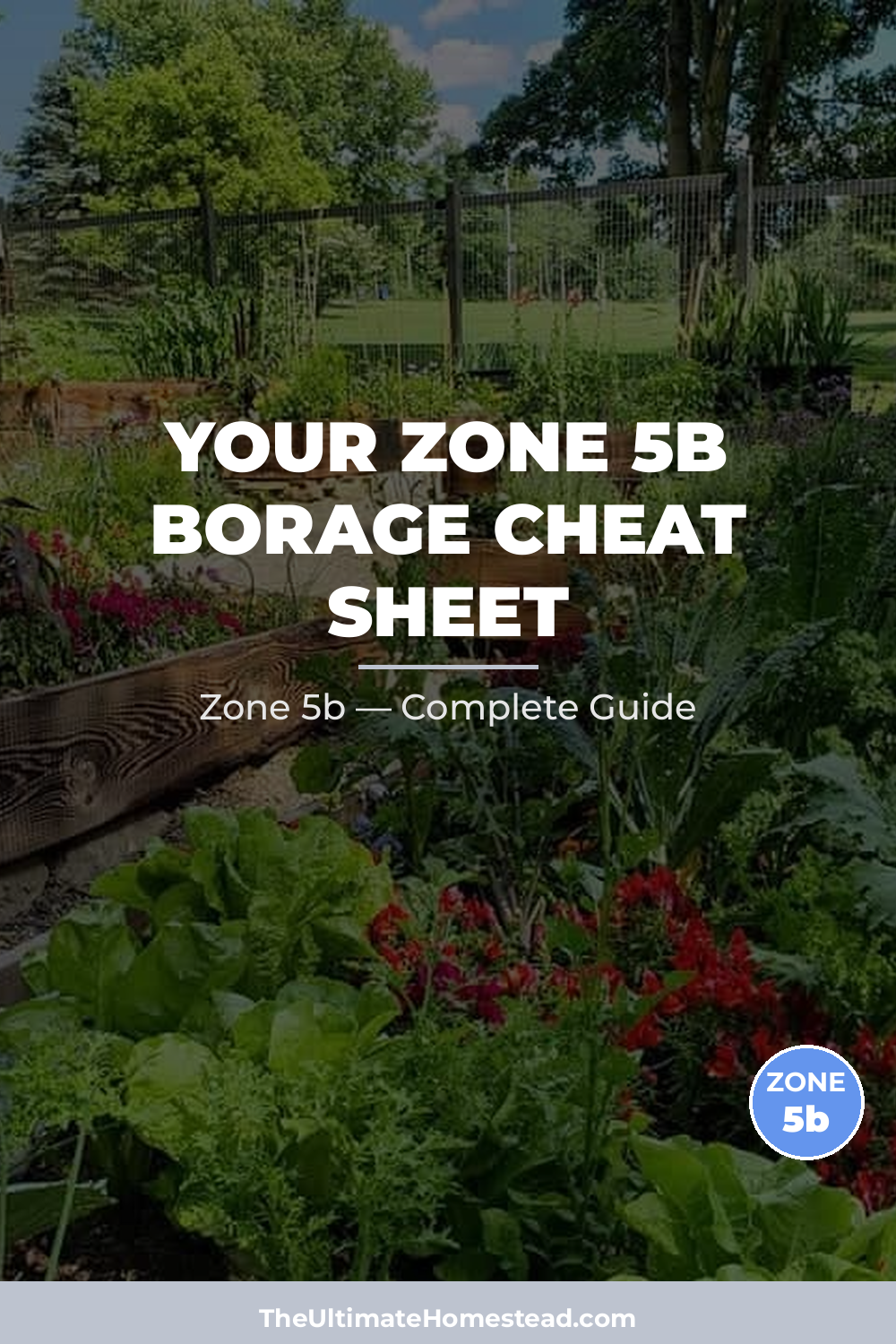 When to Plant Borage in Zone 5b