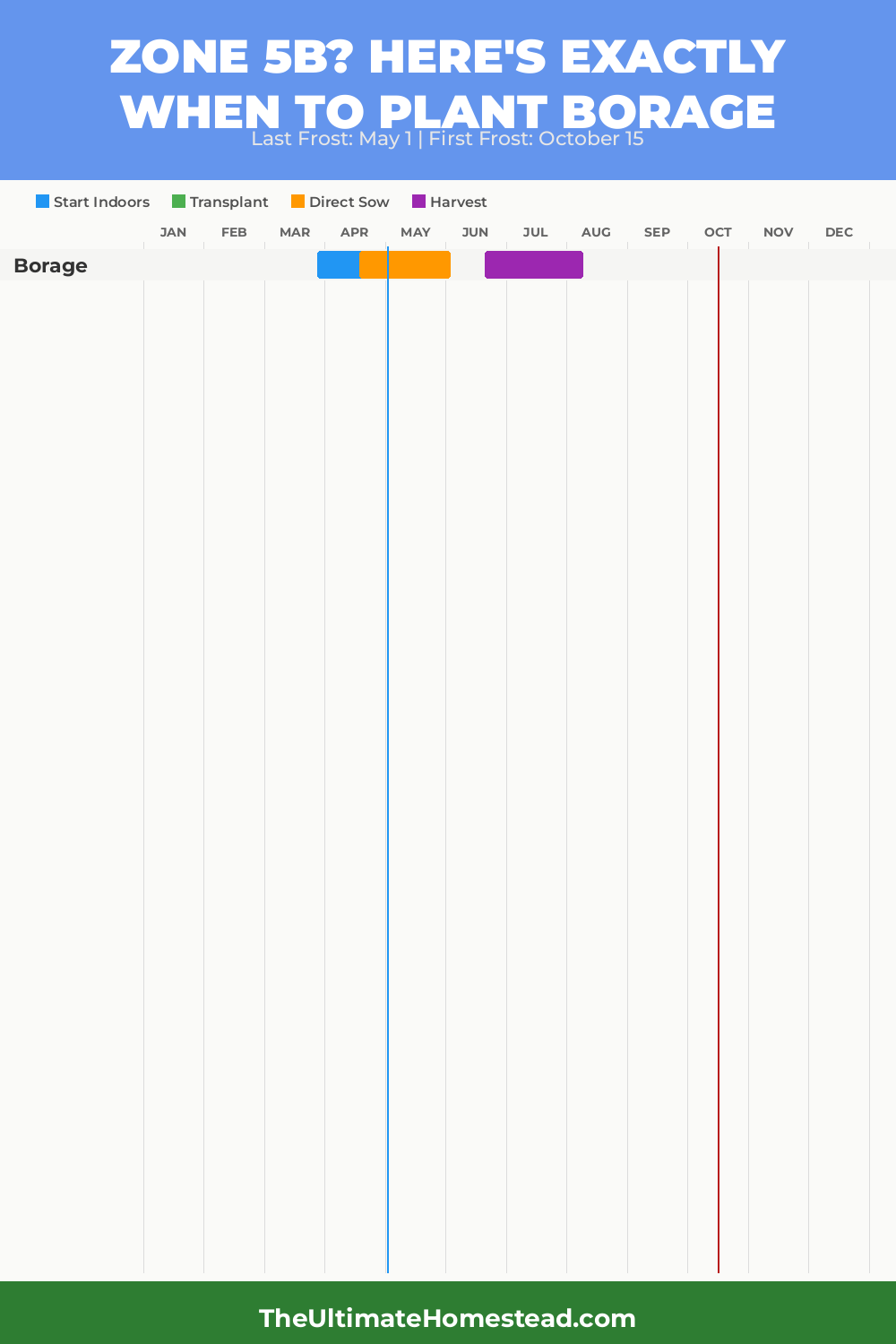 When to Plant Borage in Zone 5b