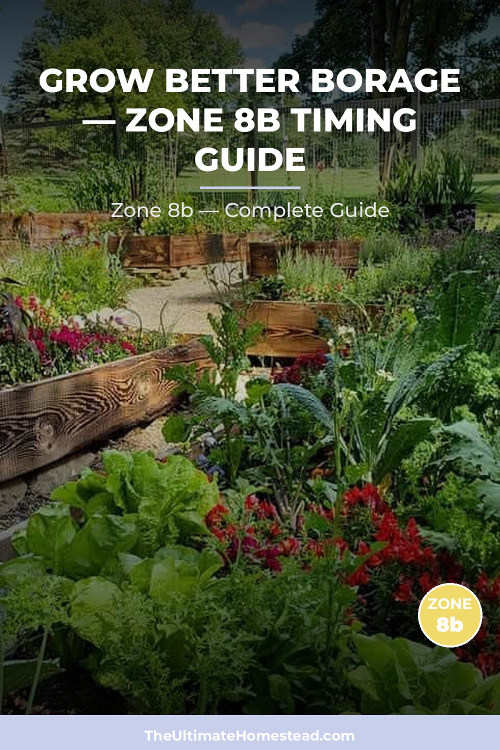 When to Plant Borage in Zone 8b
